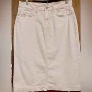 THE Main Street Exchange Leah Skirt